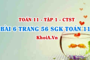 Bài 6 trang 56 SGK Toán 11 Tập 1 Chân trời sáng tạo